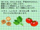 2 y[W