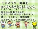 3 y[W